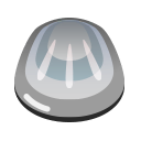 Silver scale